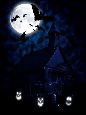 倾尽余生爱一场免费阅读