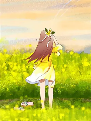 鹭鸟全文